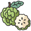 Custard Apple