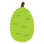 Jackfruit