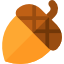 Acorn