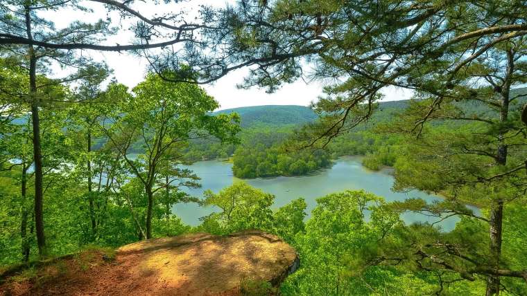 Arkansas Planting Zones: Map of Arkansas Growing Zones