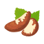 Brazil Nut