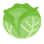 Cabbage