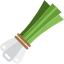 Chives
