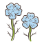 Flax
