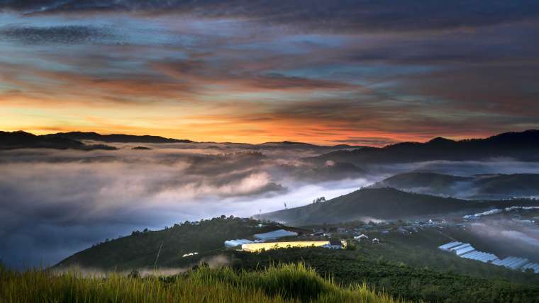 Gardening in USDA Zone 3: Best Plants to Grow in Your Garden