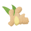 Ginger
