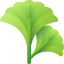 Ginkgo