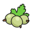 Gooseberry