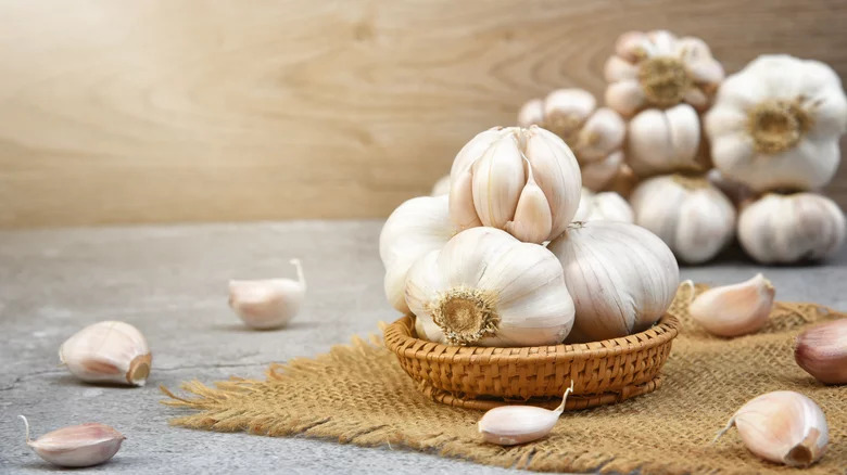 Growing Garlic