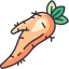 Horseradish