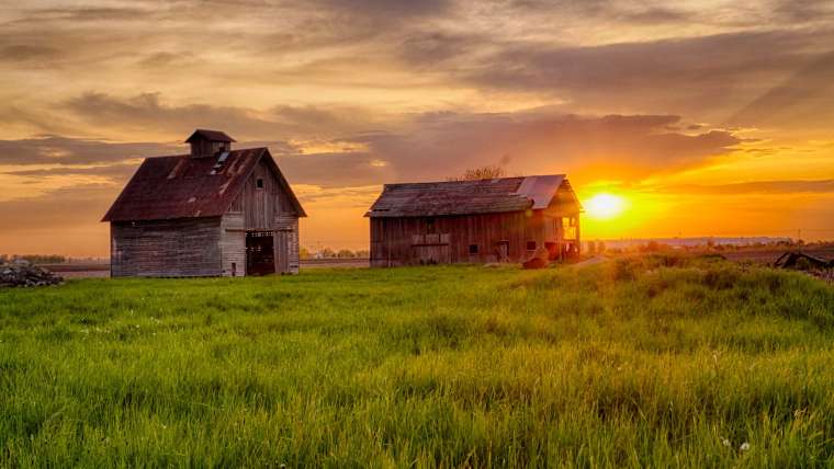 Illinois Planting Zones: Map of Illinois Growing Zones