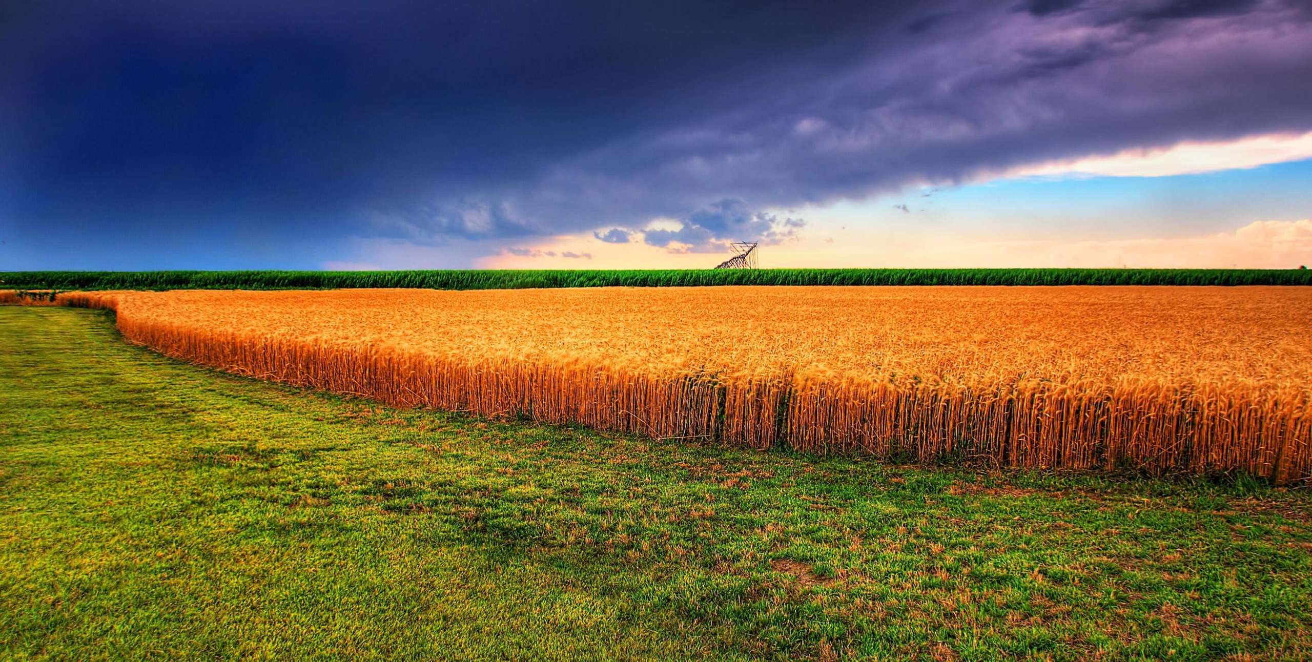 Kansas Planting Zones: Map of KS Growing Zones