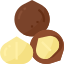 Macadamia nut