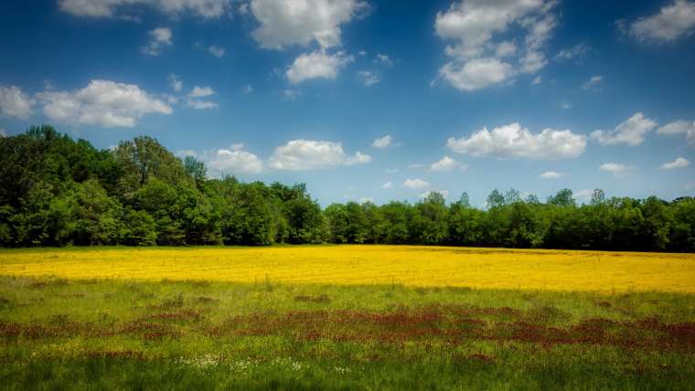 Mississippi Planting Zones: Map of MS Growing Zones