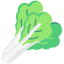 Mustard Greens