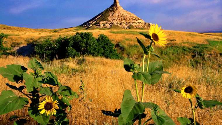 Nebraska Planting Zones: Map of NE Growing Zones