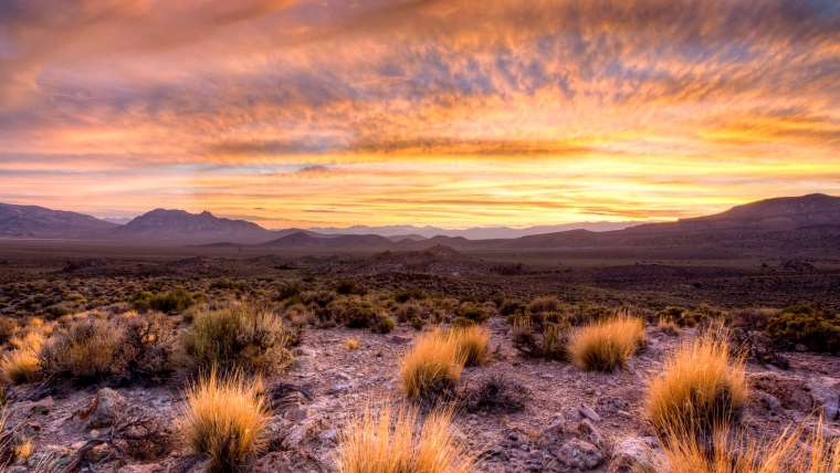 New Mexico Planting Zones: Map of NM Growing Zones