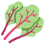 Swiss Chard