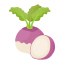 Turnips