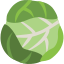 Brussels Sprouts