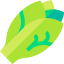 Endive