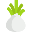 Fennel