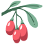 Goji berries