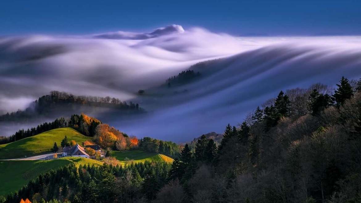 Understanding Microclimates: How to Create a Microclimate