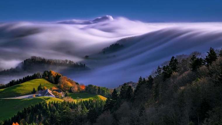 Understanding Microclimates: How to Create a Microclimate