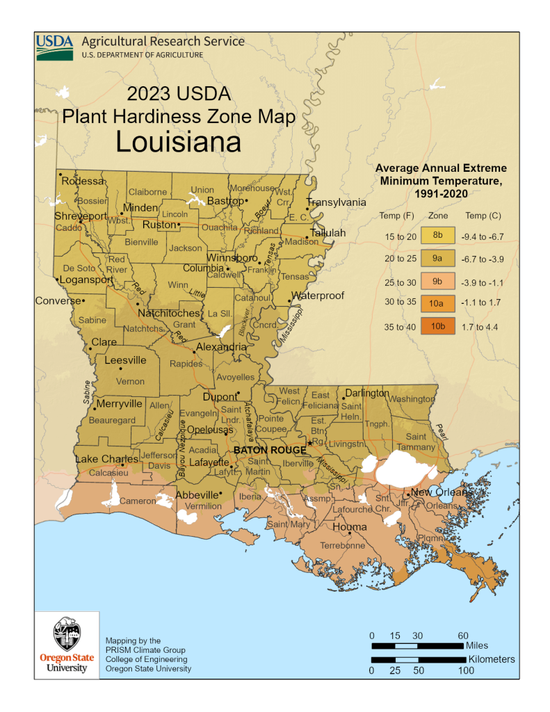 USDA Map of Louisiana Growing Zones.