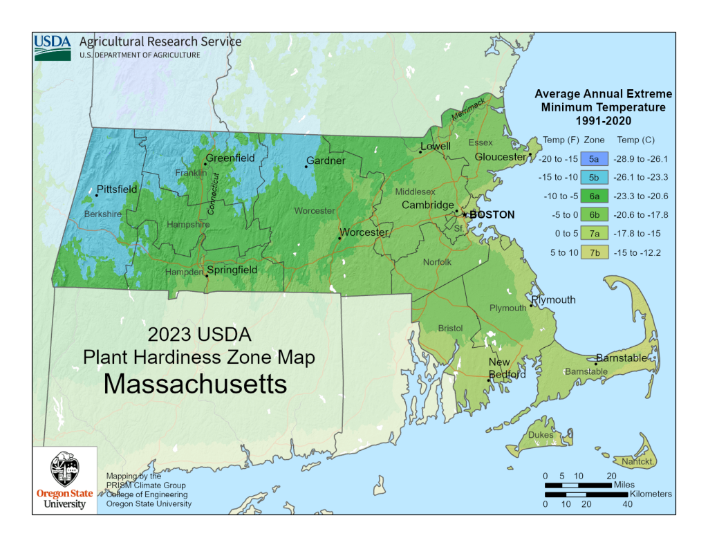 USDA Map of Massachusetts Growing Zones.