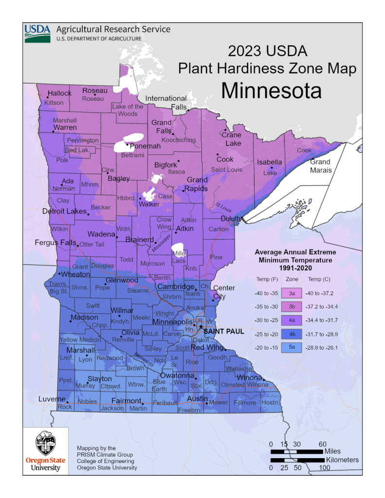 Minnesota Planting Zones