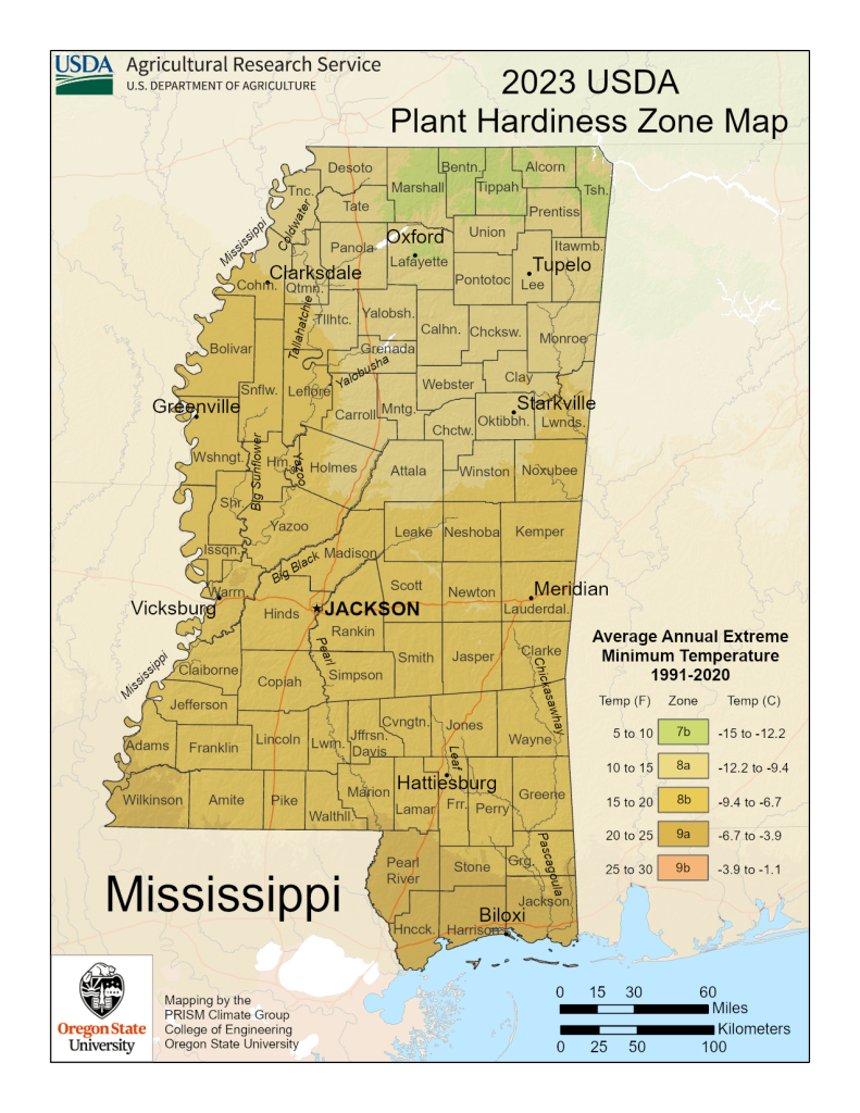 Mississippi Planting Zones