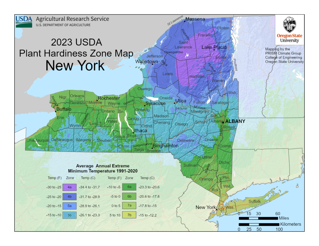 USDA Map of New York Growing Zones.