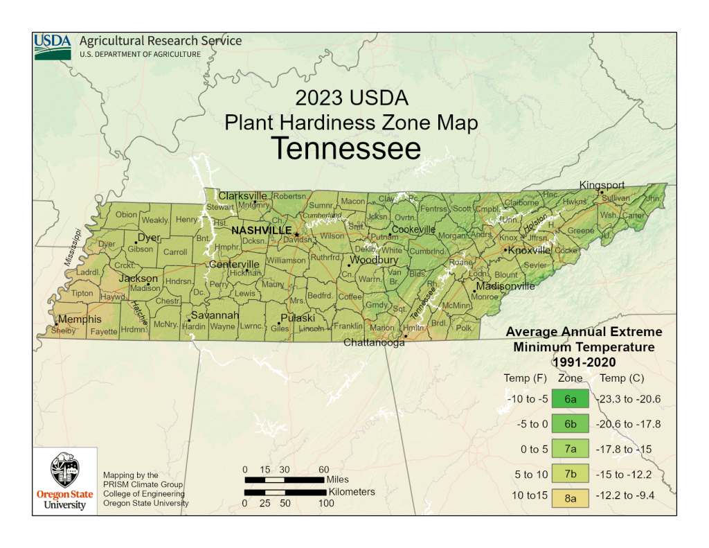 Tennessee Planting Zones