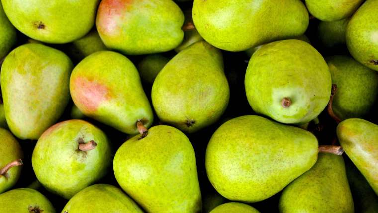 The Complete Guide to Growing Pears