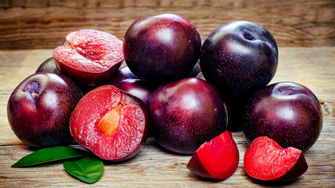 Growing Plums: How to Plant, Grow, and Harvest Plums