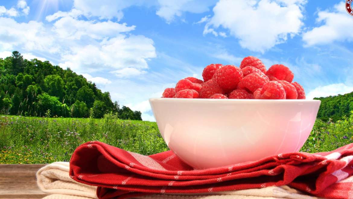How to Plant, Grow, and Harvest Raspberries