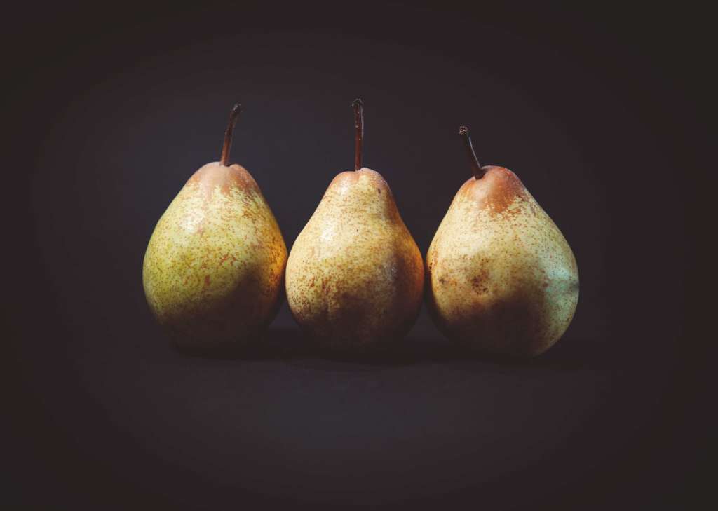 How to grow pear trees.
