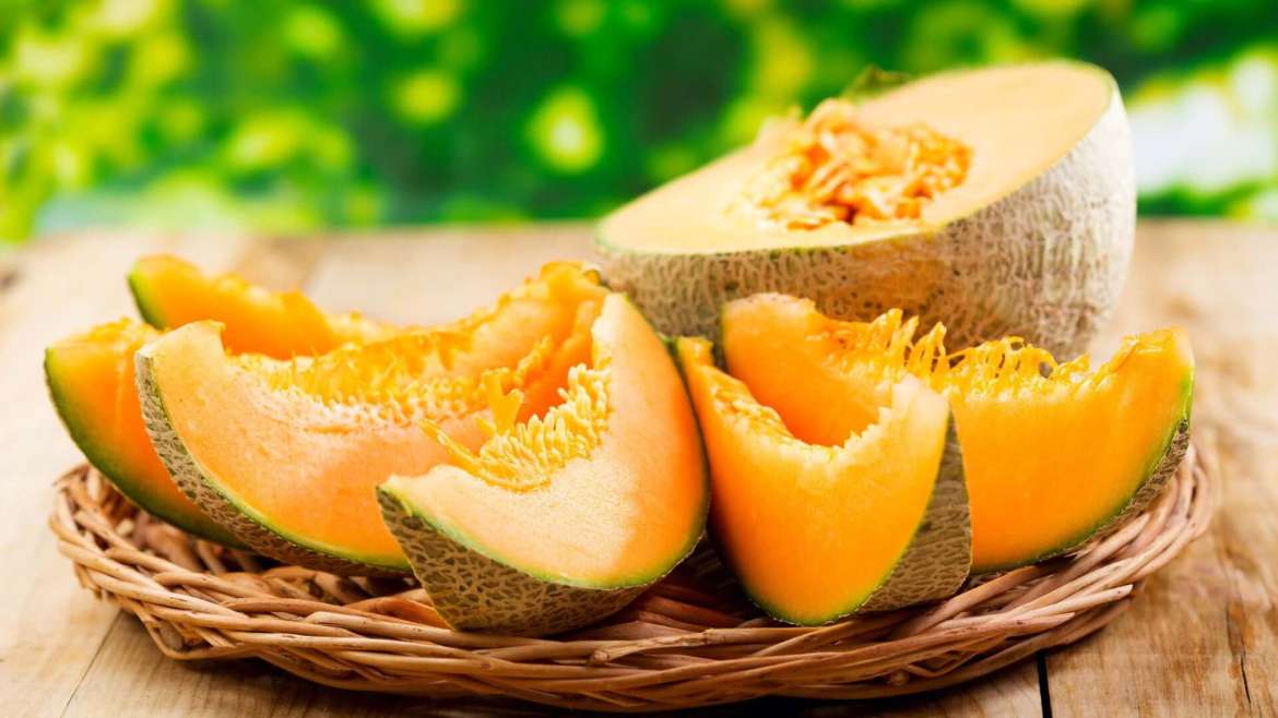 Growing Melons: Planting to Harvest Tips