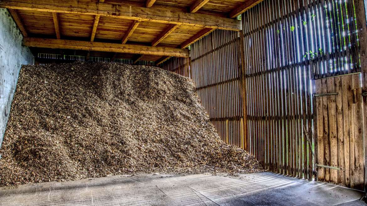 Common Mulching Mistakes to Avoid for Healthier Plants