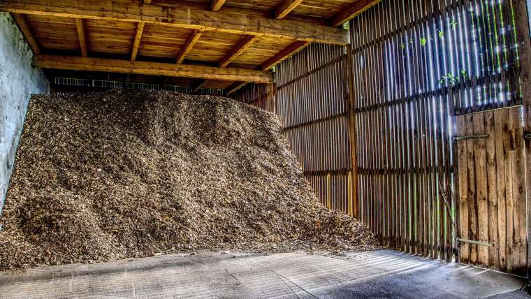 Common Mulching Mistakes to Avoid for Healthier Plants