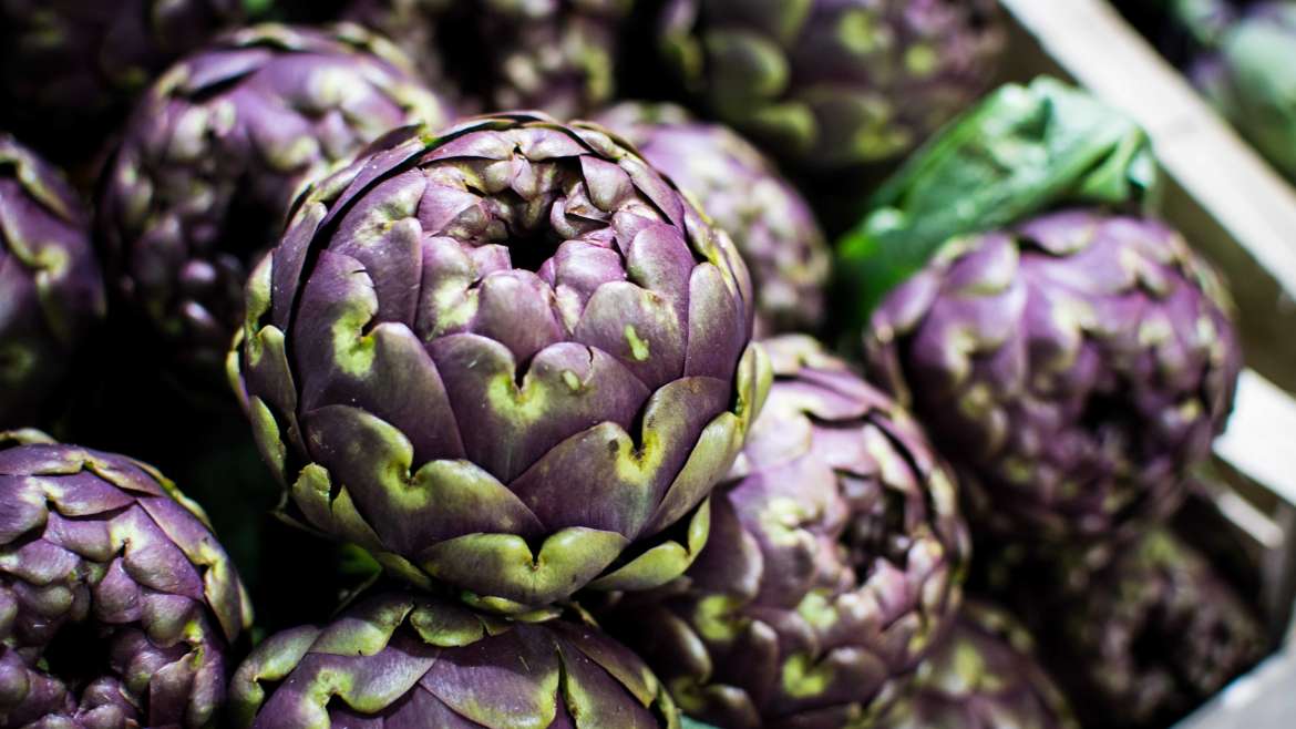 The Complete Guide to Growing Artichokes
