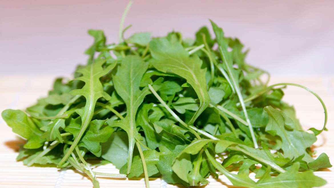 The Ultimate Guide to Growing Arugula