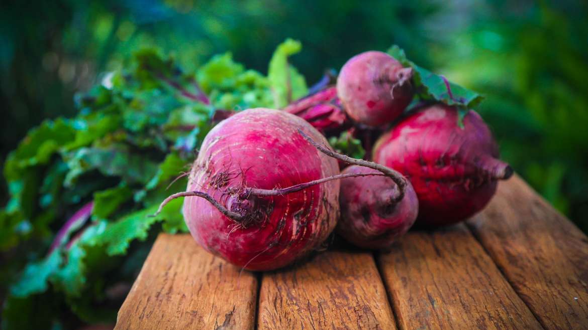 Growing Beets: How to Plant, Grow, and Harvest Beets
