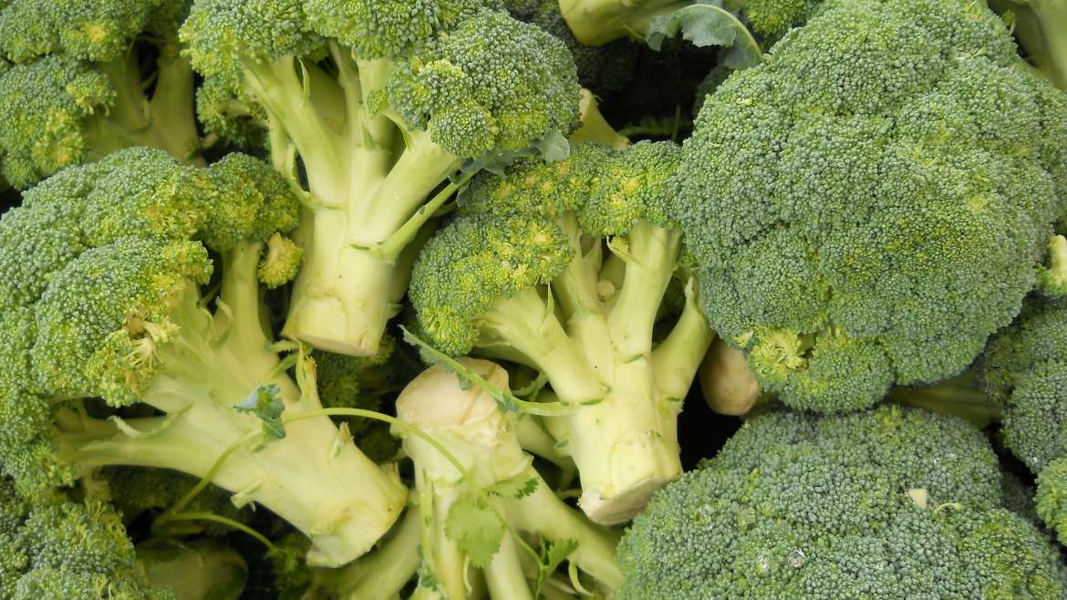 The Ultimate Guide to Growing Broccoli