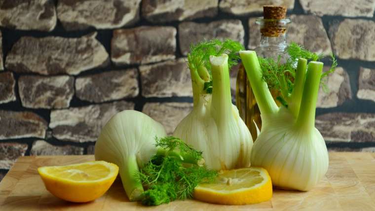 Growing Fennel Made Easy: Planting to Harvest Tips