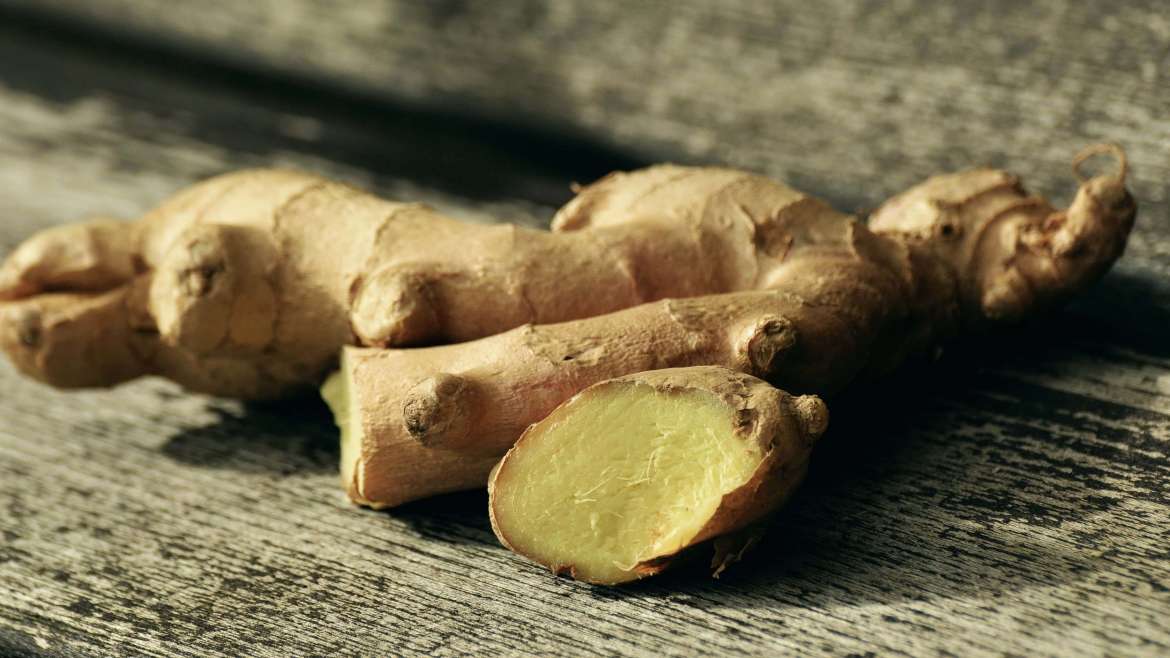 Growing Ginger: How to Plant, Grow, and Harvest Ginger