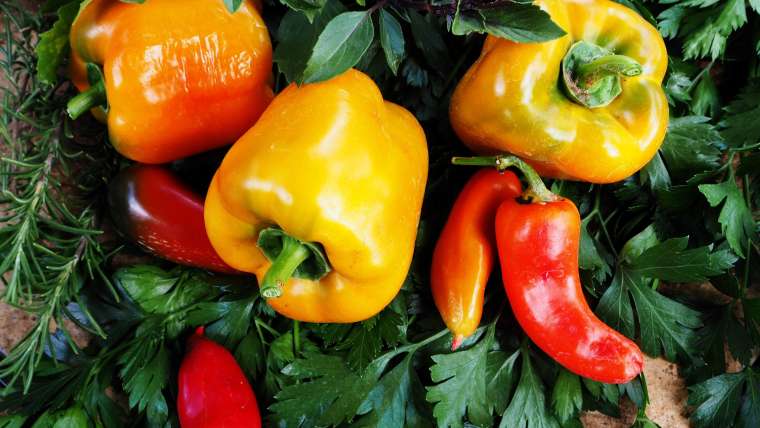 Growing Peppers: How to Plant and Grow Peppers