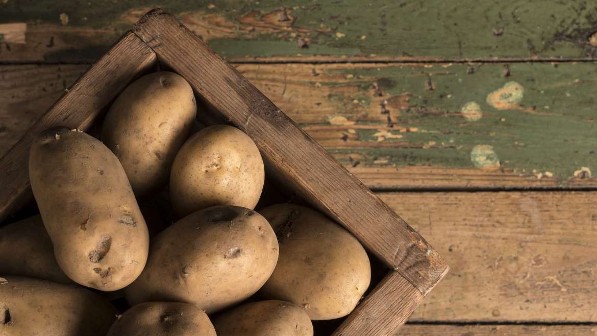 Best Practices for Growing Potatoes